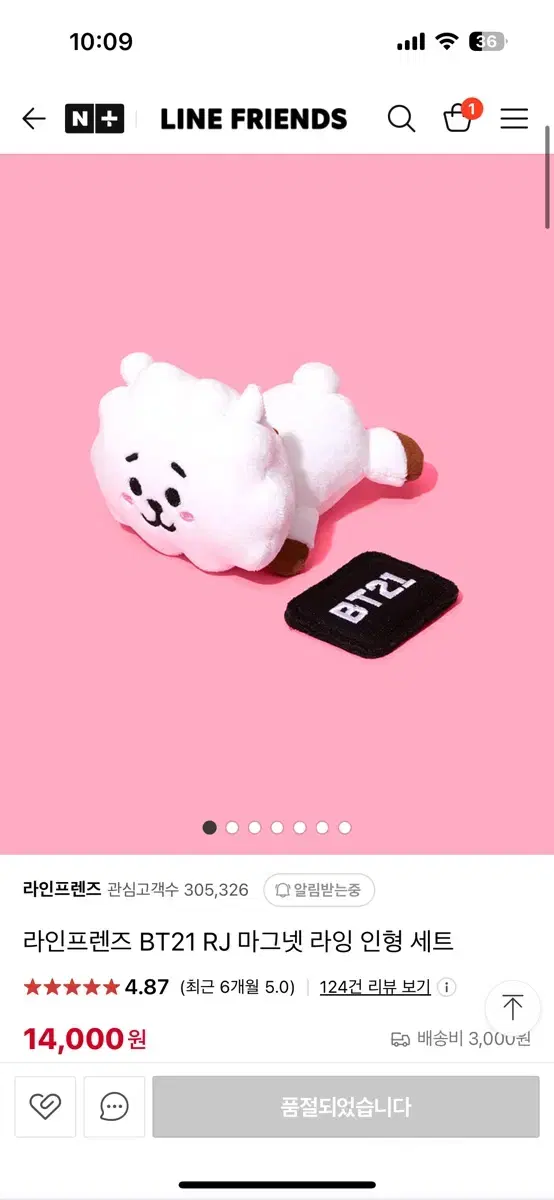 BTS JIN RJ 방탄소년단 라인프렌즈 석진 알제이 인형 BT21